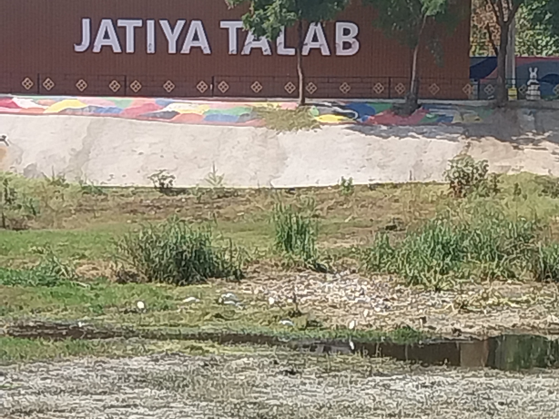 Jatiya Talab Bilaspur